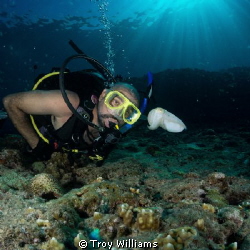 My buddy checking out 1 of 8 cuttlefish on our way out...... by Troy Williams 